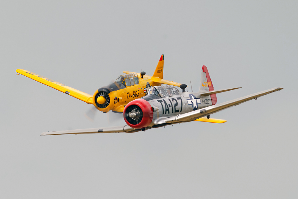 Tumbler Image