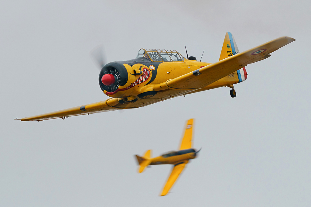 Tumbler Image